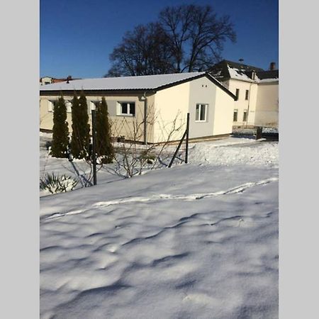 バンネヴィッツ Elegantes Haus Im Dresdner Suedenヴィラ エクステリア 写真