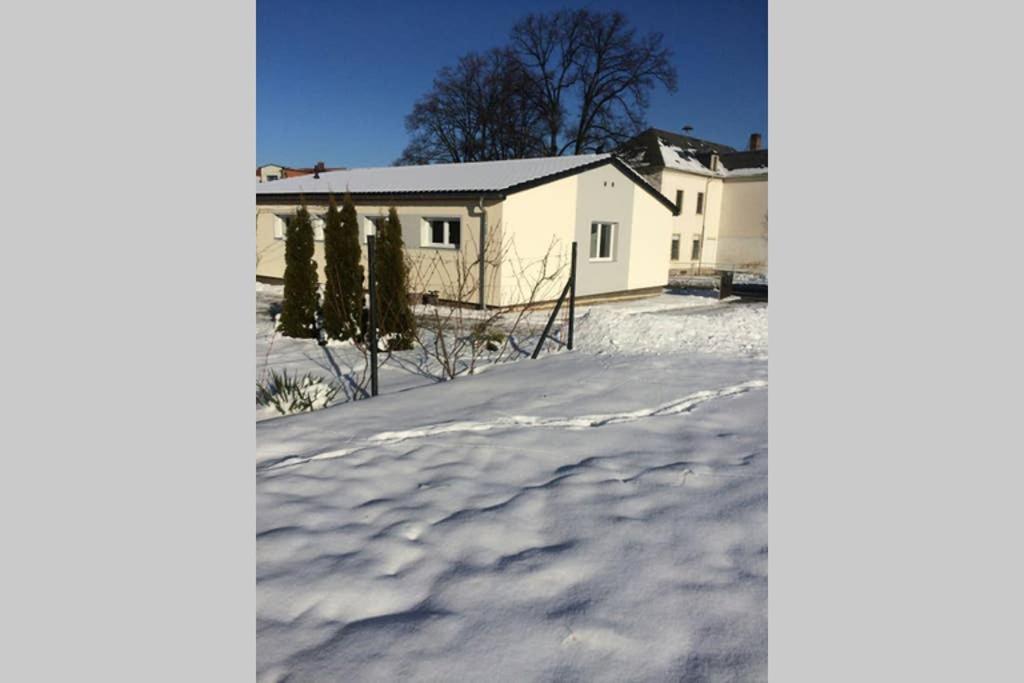 バンネヴィッツ Elegantes Haus Im Dresdner Suedenヴィラ エクステリア 写真