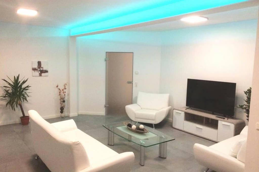 バンネヴィッツ Elegantes Haus Im Dresdner Suedenヴィラ エクステリア 写真