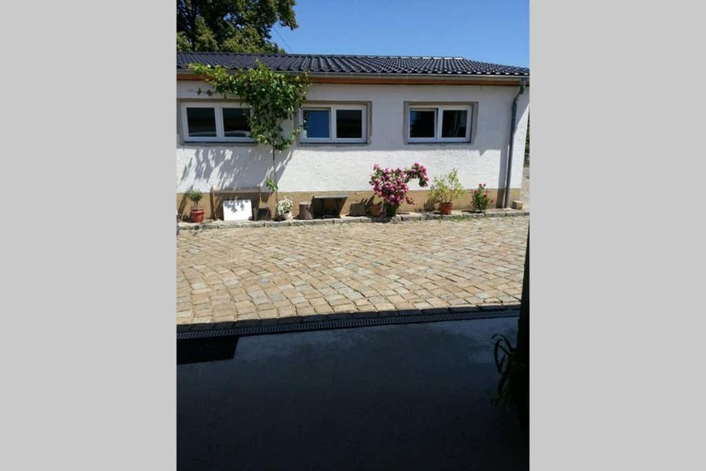 バンネヴィッツ Elegantes Haus Im Dresdner Suedenヴィラ エクステリア 写真